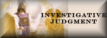 Investigative Judgment